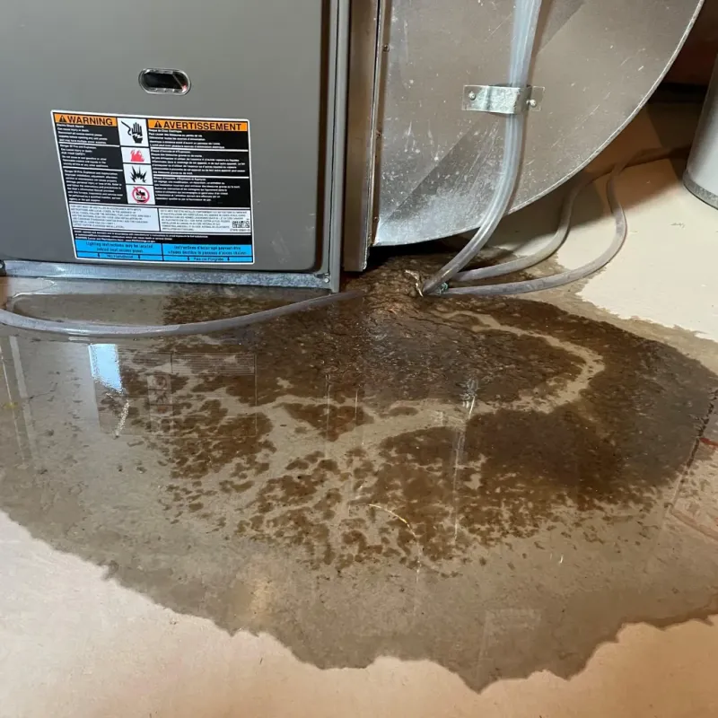 Appliance Leak Cleanup in Lake Isabella, CA