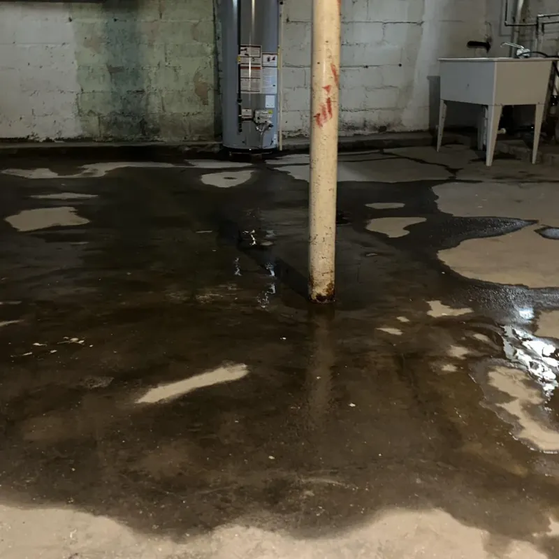 Emergency Water Extraction And Removal in Lake Isabella, CA